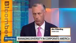 Dow CEO Fitterling on Managing Diversity and Inclusion in Corporate America News Clip