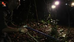 KILLER Snake of Central America! Instructional Video