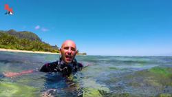 Fantastic Sea Creatures…and Where to Find Them! Instructional Video