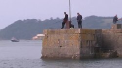 VOICED : Drifting into trouble? The tiny ocean creatures with a global impact News Clip