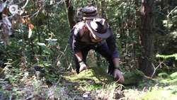 Can a Snake Cure Fear? Instructional Video