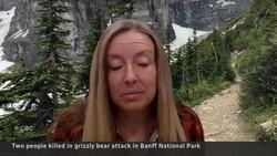 Grizzly bear attack kills couple in Banff National Park News Clip