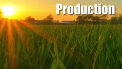 HST-AP Integumentary System Pt. 2 Instructional Video