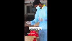 India On Alert As JN.1 Covid Variant Emerges: How Dangerous Is The New Variant? News Clip