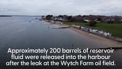 Public urged to avoid harbour after oil leak causes major incident News Clip