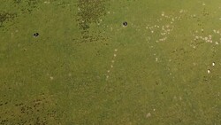 Drone aerials over North Wales countryside and farmland News Clip