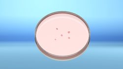 COVID-19 may infect brain cells: study Instructional Video