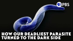 How Our Deadliest Parasite Turned To The Dark Side Instructional Video