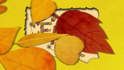 Weather Patterns Instructional Video