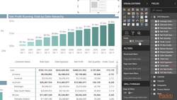 Learning Microsoft Power BI - Creating Visualizations-Card Visualizations and Title Section Instructional Video