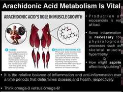 PUFAs: Basics of Arachidonic Acid and its Metabolism Instructional Video