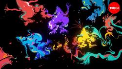 TED-Ed: Want to know if you're pregnant? Use this frog | Carly Anne York Instructional Video