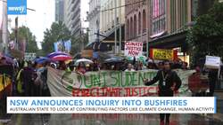 New South Wales Announces Investigation Into Cause Of Bushfires News Clip