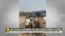 SC Halts Tree Felling in Telangana’s Kancha Gachibowli Forest, What's Next? News Clip