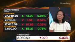 VS Partners Vanessa Xu on Global Investment Strategy News Clip