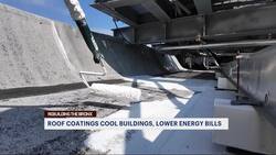 Reflective roof coatings cool down the Bronx News Clip