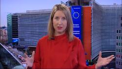 The Brief: Europeans rate incoming Commission's priorities for VDL era News Clip