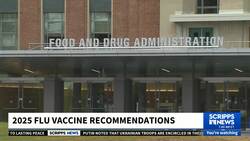 Government panel steps in after FDA cancels advisory meeting on flu shot recommendations News Clip