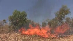 Controlled bush fire in the outback Stock Footage