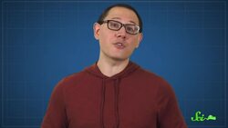 The Search for Tasmanian Tigers Continues Instructional Video