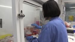 Coronavirus in numbers: UK death toll at 43,081 News Clip