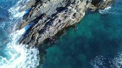 Stunning Footage of Seal Pups Playing in the Australian Ocean Instructional Video