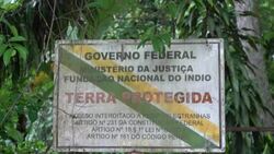 CLEAN : Indigenous people cast their votes in Brazil Amazonas state News Clip