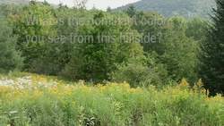 Plant Activities: Where Does Photosynthesis Occur? Instructional Video