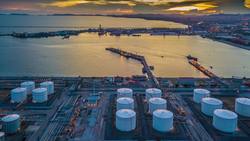 Take Action for Life Below Water (Ages 11 - 17) Instructional Video