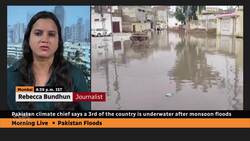 Damage in deadly Pakistan flooding exceeds $10B US, officials say News Clip