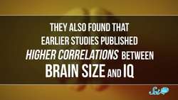 Does a Bigger Brain Make You Smarter? Instructional Video