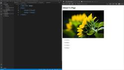 Introduction To Website Development Technologies - Explore More HTML Tags - Images, Forms and Lists Instructional Video