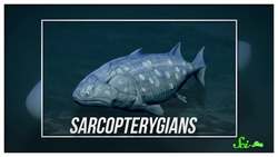 How Tongues Helped Vertebrates Conquer Land Instructional Video