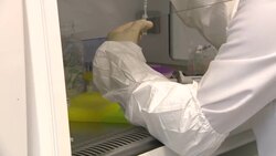 Coronavirus Vaccine - Cobra Biologics Labs News Clip