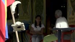 CLEAN : Venezuela: rescuers release sea turtles to raise environmental awareness News Clip