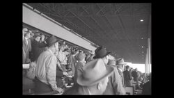 Jockey Willie Shoemaker ties and then breaks record for total wins by jockey in three horseraces in Albany, CA News Clip