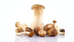 Several big and small mushrooms. Standing and lying. Rotating on the turntable isolated on the white background. Close up. Macro. Stock Footage