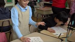 Volunteers from New York Cares offer lesson plans and curriculums to P.S. 135 News Clip