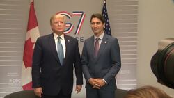 Sask. industries brace for Trump's economic impact News Clip