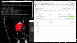 The Full Stack Web Development - Working With A Remote Repository Instructional Video