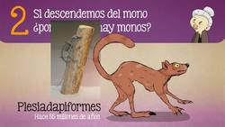 Teoría de la Evolución: 5 Preguntas Frecuentes Instructional Video