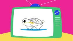 TED-Ed: The bug that poops candy | George Zaidan Instructional Video