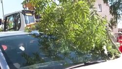 CLEAN : Cleanup under way after tornado hits Netherlands, killing at least one person News Clip