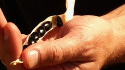 Local Farmer Grows Beans from Basque Region Instructional Video