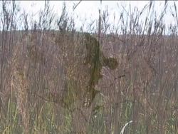 Exploring Grassland Biomes: the Amazing Tallgrass Prairie Instructional Video