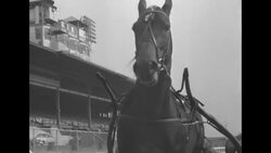 US Harness Writers Association honors retiring harness race horse Good Time at luncheon News Clip