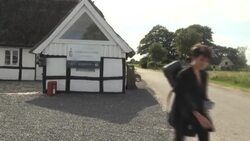 CLEAN : In Denmark, cows can enjoy live classical moo-sic News Clip