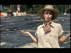 Dinosaurs - How Dinosaurs got their names Instructional Video