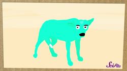 Why Do Animals Have Tails? Instructional Video