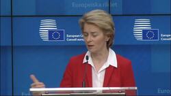 EU struggles to keeps goods moving amid border closures News Clip